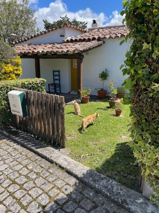 Ocean, Surf, Golf Private Villa With Pool Near Lagoon Casal do Narcizo Extérieur photo